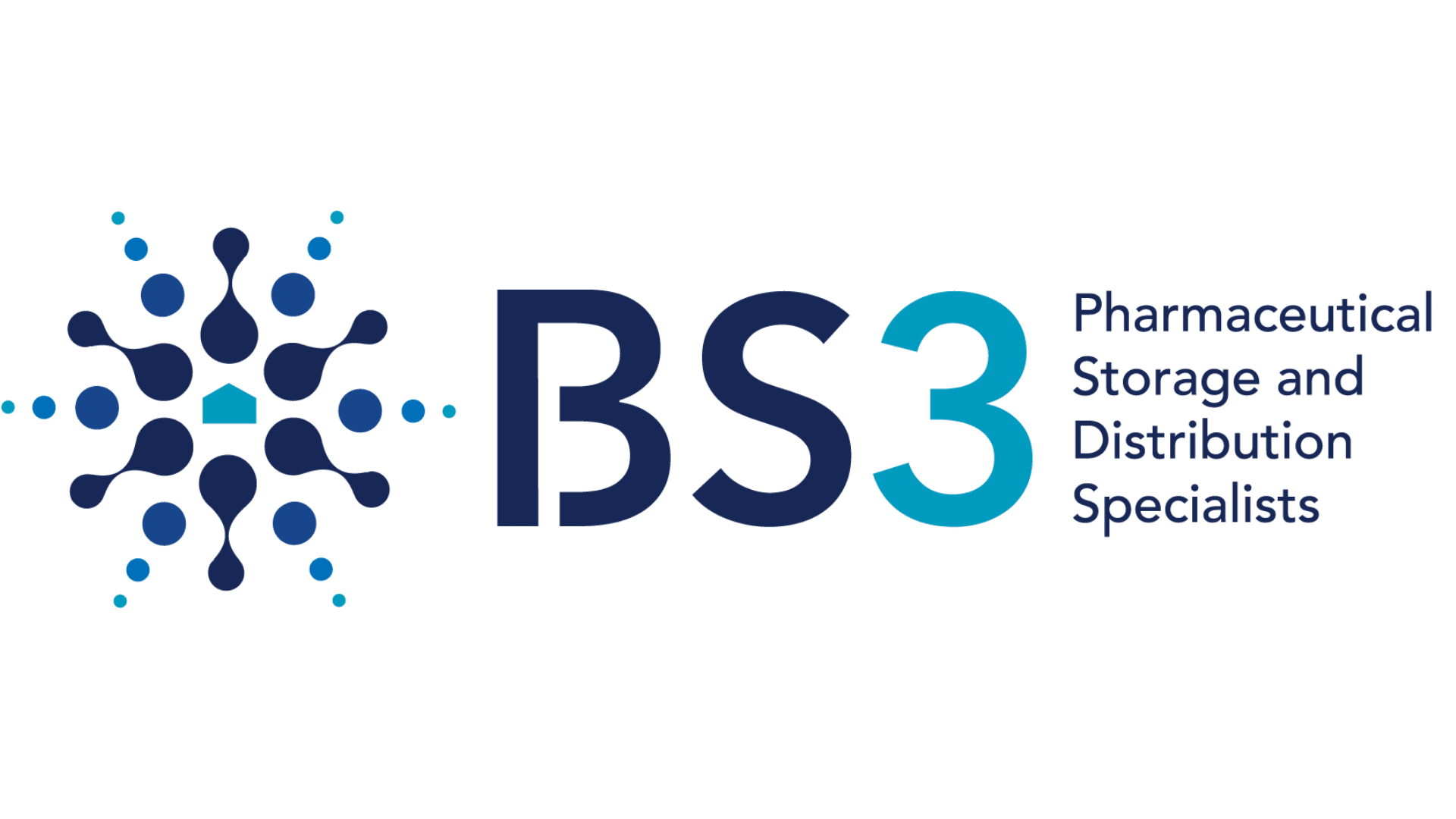 BS3 Logo